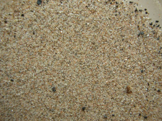 Playa de Troon Escocia